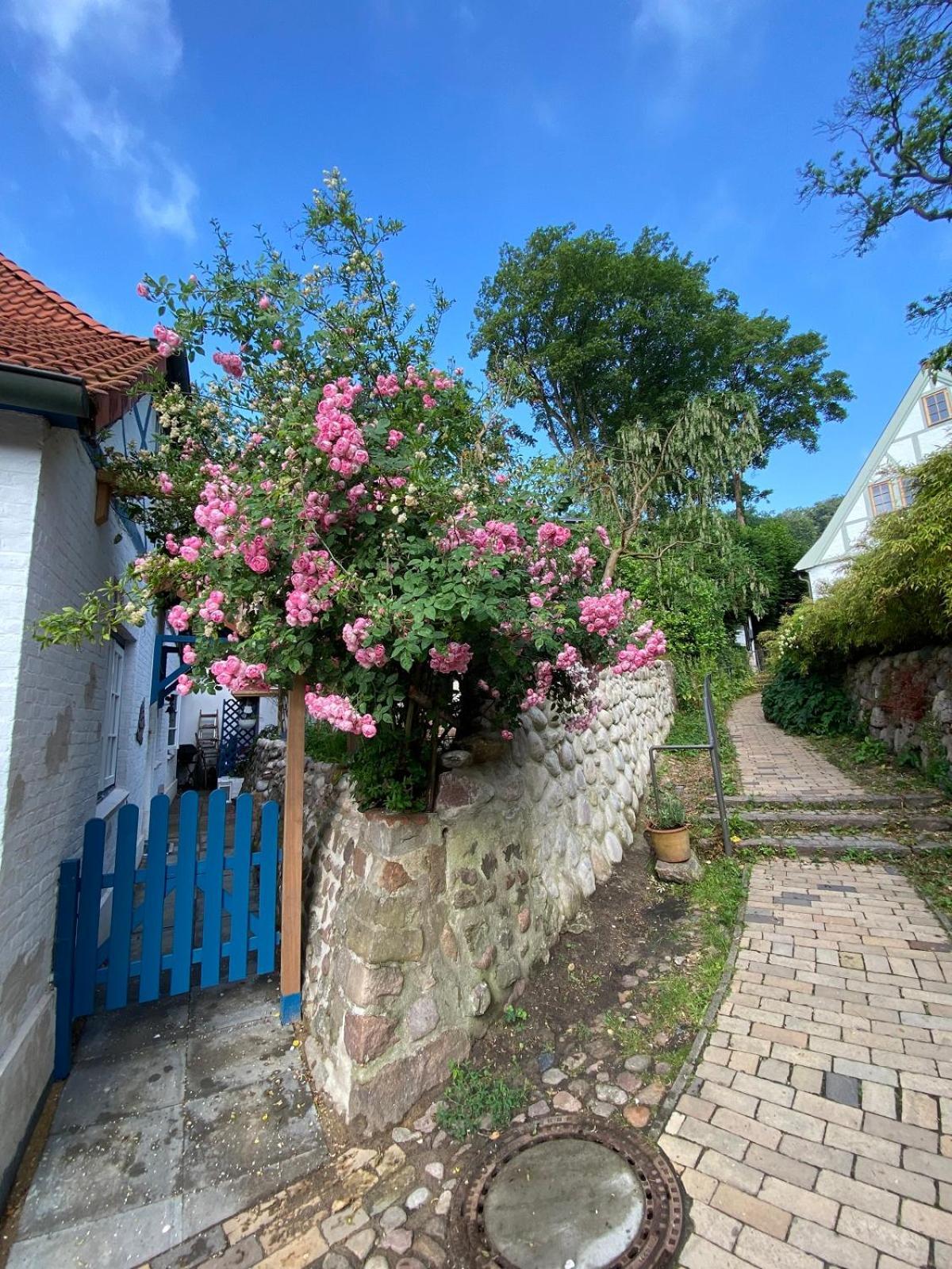 Fischerhaus Blankenese Гамбург Экстерьер фото